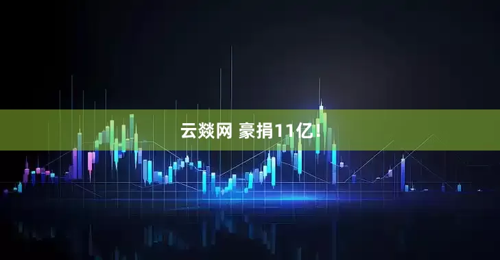 云燚网 豪捐11亿！
