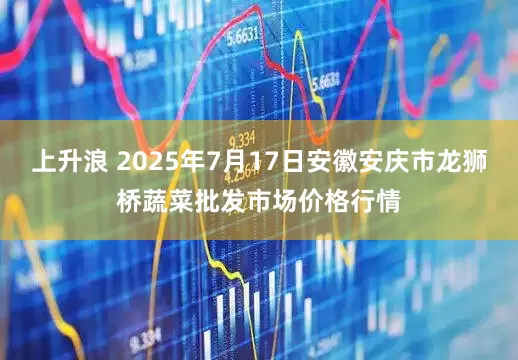 上升浪 2025年7月17日安徽安庆市龙狮桥蔬菜批发市场价格行情