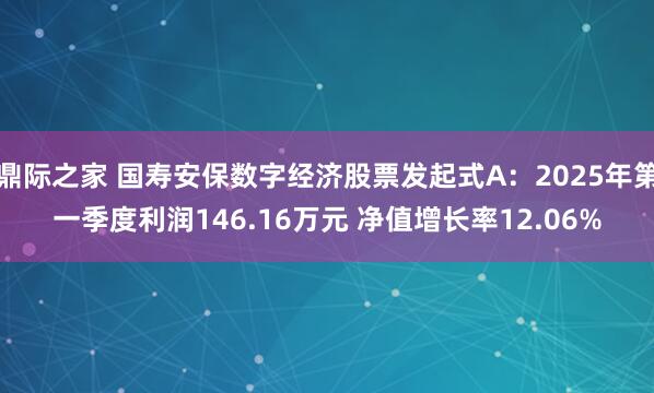 鼎际之家 国寿安保数字经济股票发起式A：2025年第一季度利润146.16万元 净值增长率12.06%