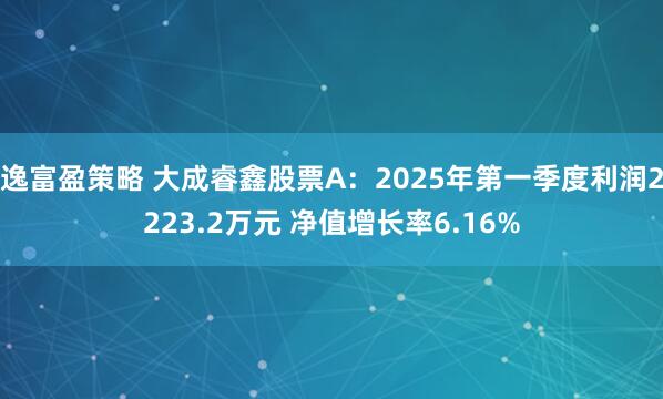 逸富盈策略 大成睿鑫股票A：2025年第一季度利润2223.2万元 净值增长率6.16%
